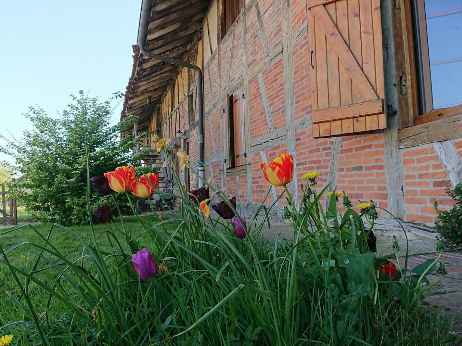 A La Poularde B&B Curciat-Dongalon Zewnętrze zdjęcie