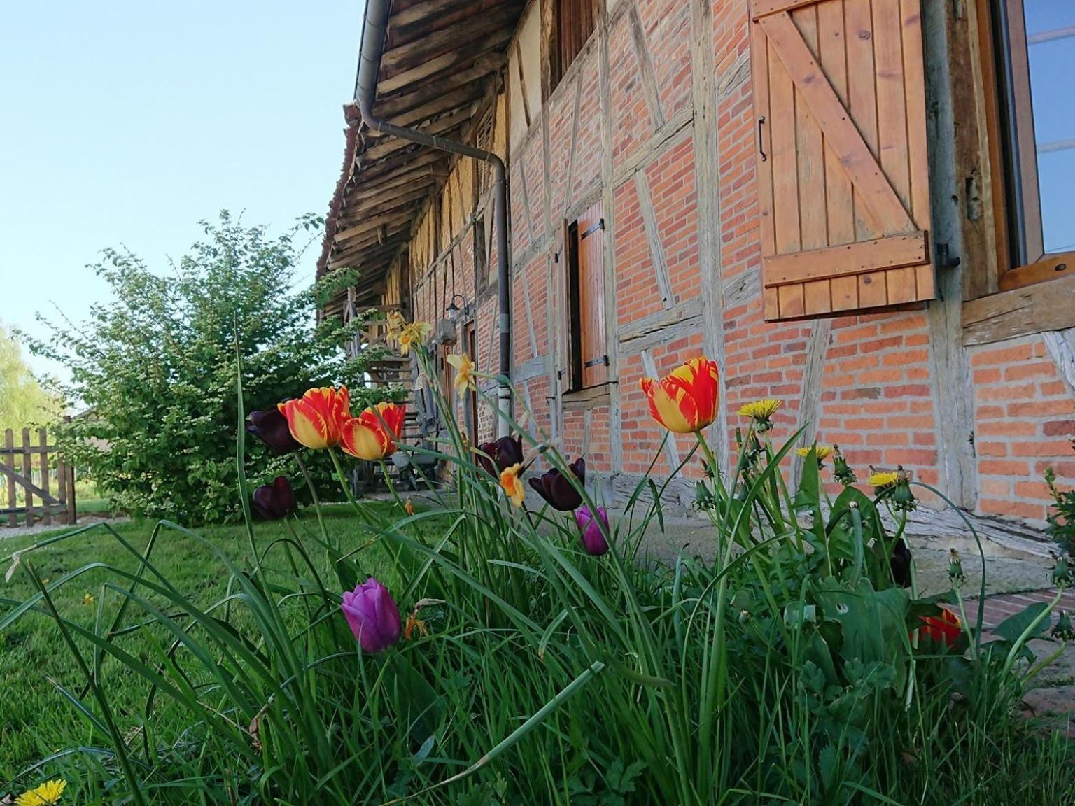 A La Poularde B&B Curciat-Dongalon Pokój zdjęcie