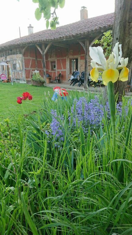 A La Poularde B&B Curciat-Dongalon Pokój zdjęcie