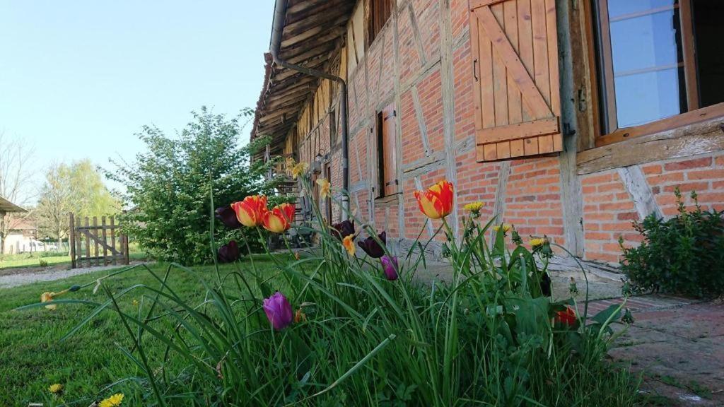 A La Poularde B&B Curciat-Dongalon Pokój zdjęcie